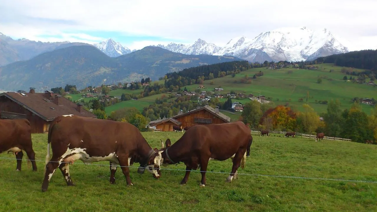 Vue Mont Blanc et toute la chaîne Combloux 0*,  France