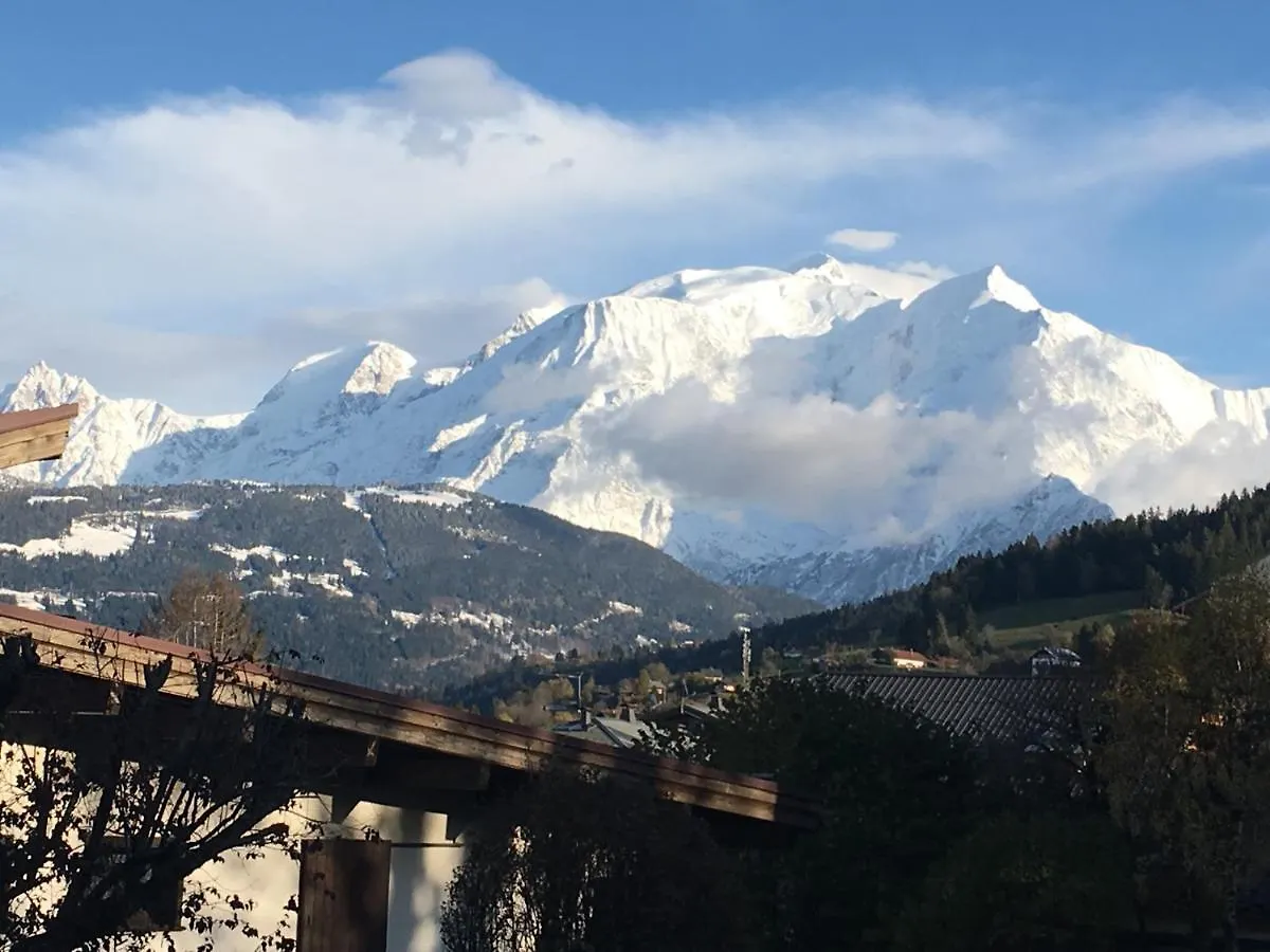 Vue Mont Blanc et toute la chaîne Combloux Appartement